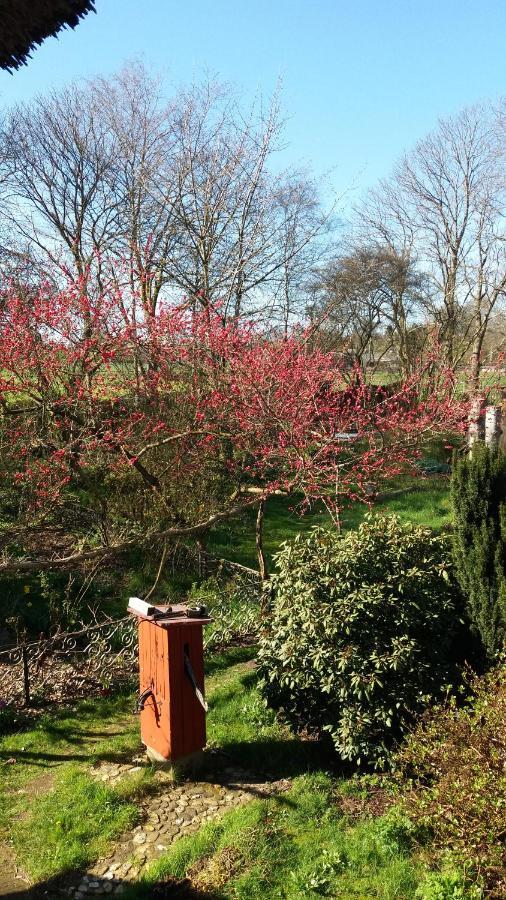 De Geheime Tuin - Uitzicht Bed & Breakfast Епе Екстериор снимка